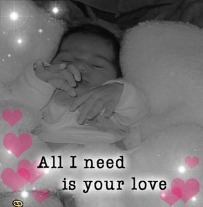 Meet your Posher, Judy